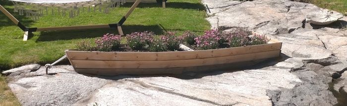 Eka med plantering